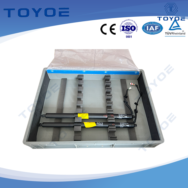 Fords bevorzugte Transportbox für Autoteile und Zubehör